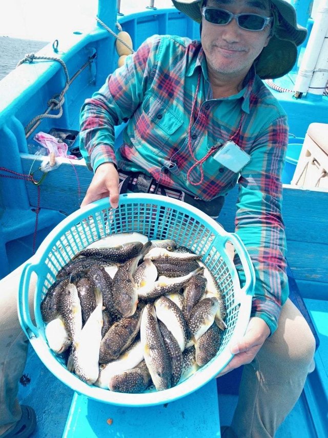 ショウサイフク(ショウサイフグ)