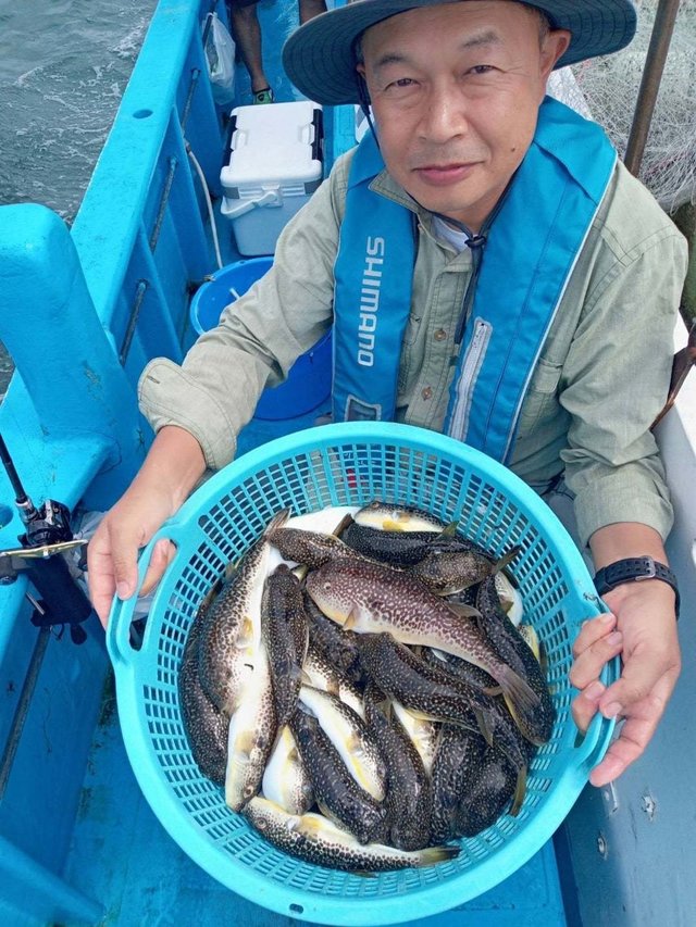 ショウサイフク(ショウサイフグ)