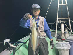 アカイカ(ケンサキイカ)