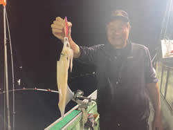 アカイカ(ケンサキイカ)