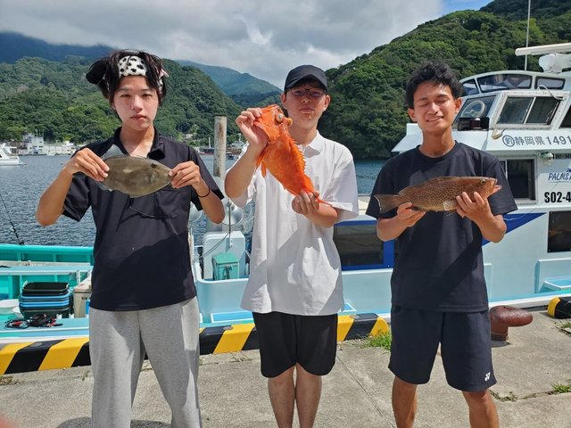 オオモンハタ・カンコ(ウッカリカサゴ)・ウマズラ(ウマヅラハギ)