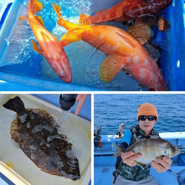 アカハタ・キジハタ・ヒラメ