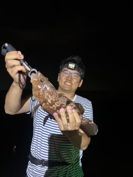 アコウ(キジハタ)