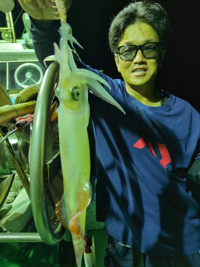 イカ(ケンサキイカ)