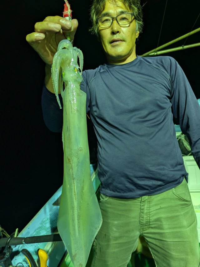 イカ(ケンサキイカ)