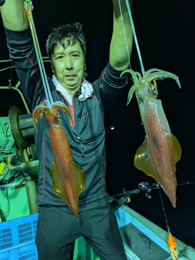 イカ(ケンサキイカ)