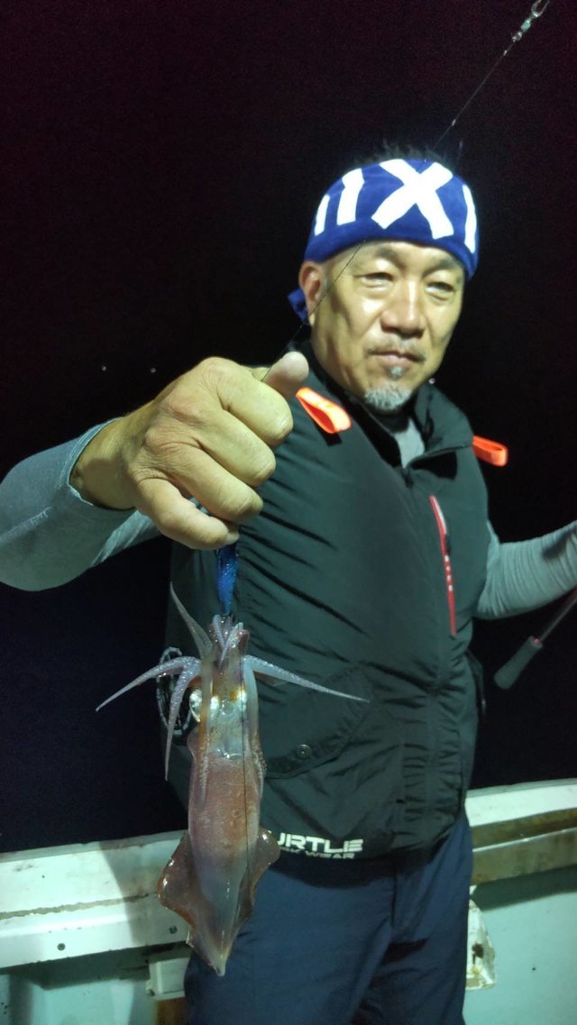 マイカ(ケンサキイカ)