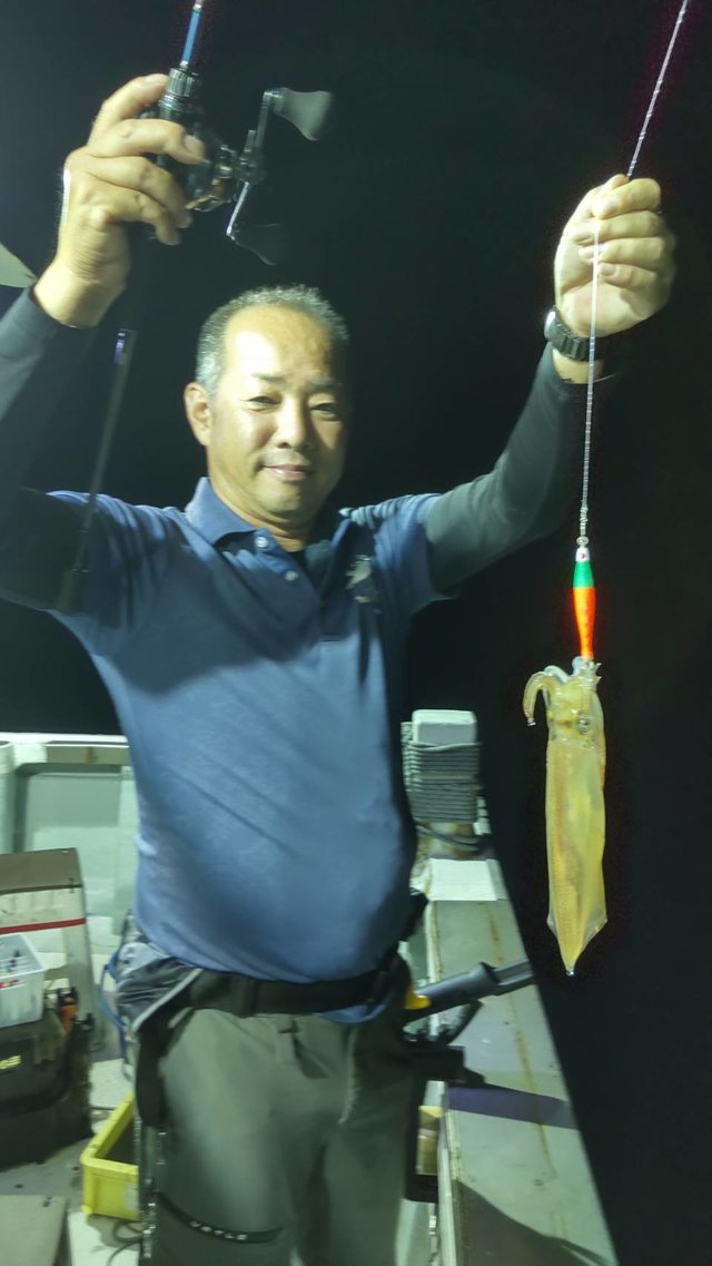 マイカ(ケンサキイカ)