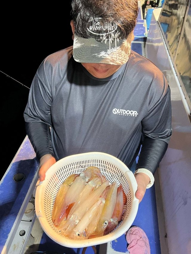 マルイカ(ケンサキイカ)