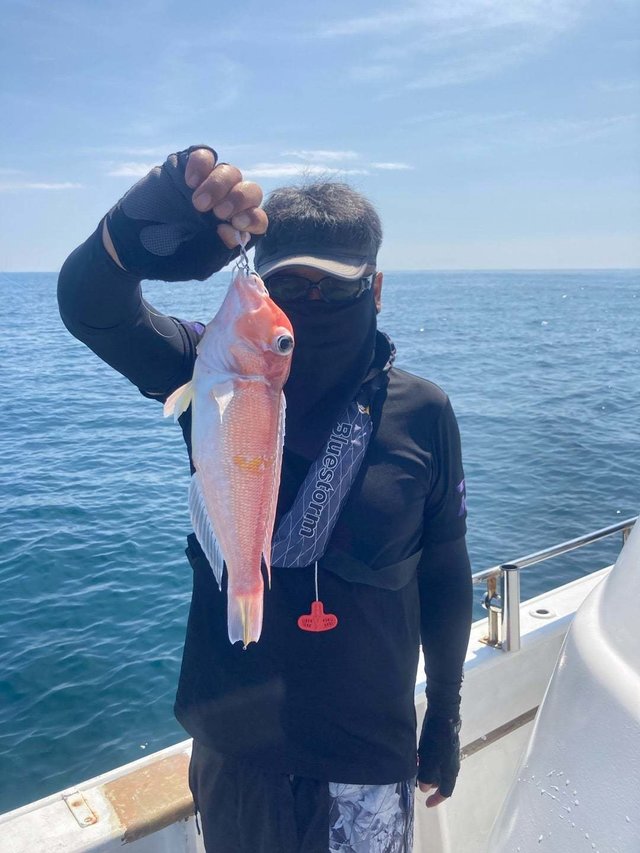 アマダイ(アカアマダイ)