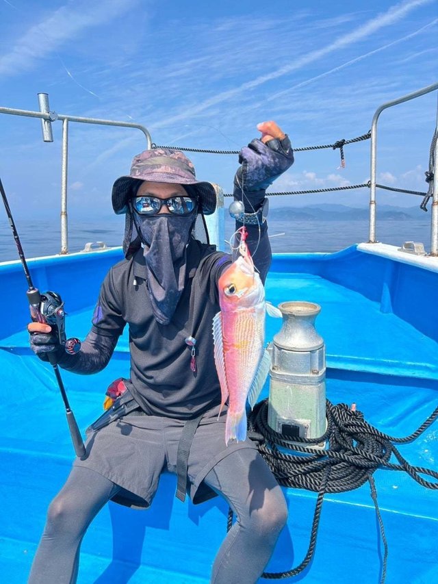 アマダイ(アカアマダイ)