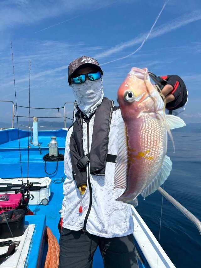 アマダイ(アカアマダイ)