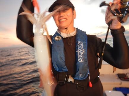 シロイカ(ケンサキイカ)