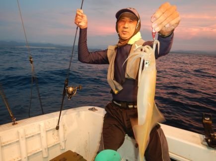 シロイカ(ケンサキイカ)