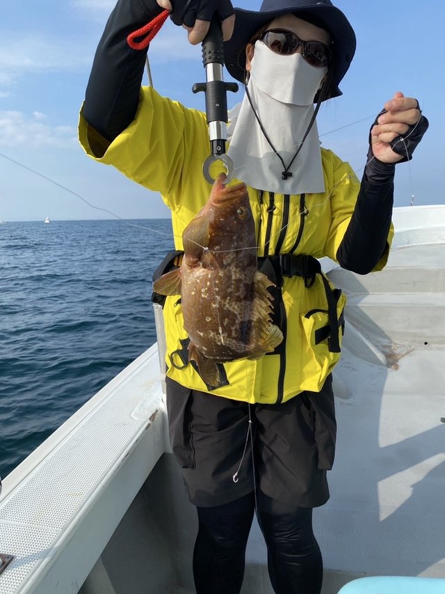 アコウ(キジハタ)