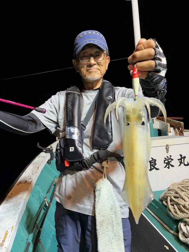 アカイカ(ケンサキイカ)