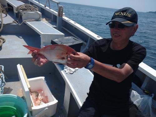 マダイ・カイワリ