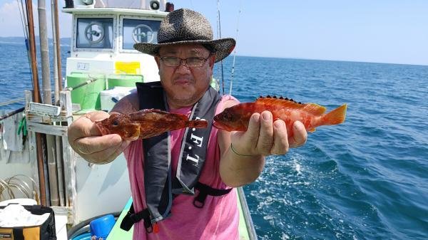 アカハタ・カサゴ