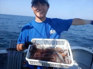 スルメ(スルメイカ)