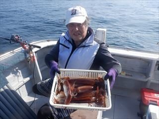 スルメ(スルメイカ)