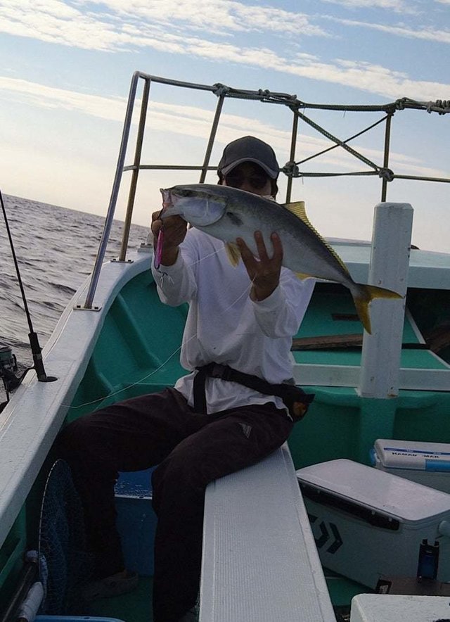 サンパク(ブリ)