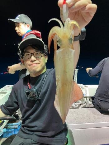 マイカ(ケンサキイカ)