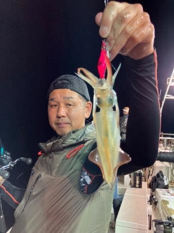 マイカ(ケンサキイカ)