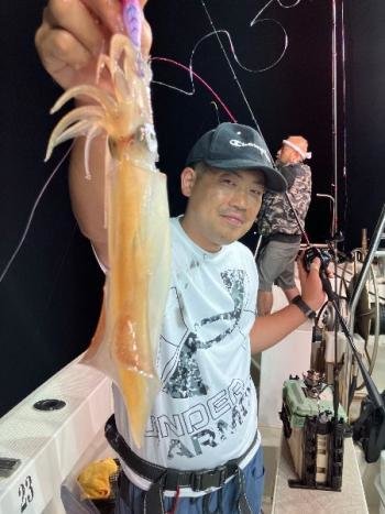 マイカ(ケンサキイカ)