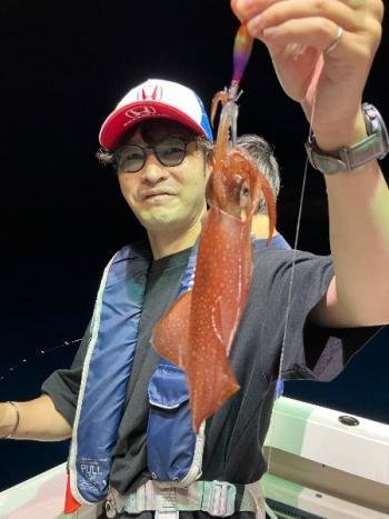 マイカ(ケンサキイカ)