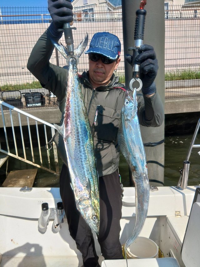 サワラ・タチウオ