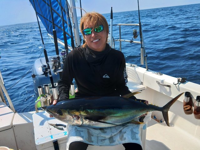 キメジ(キハダ)