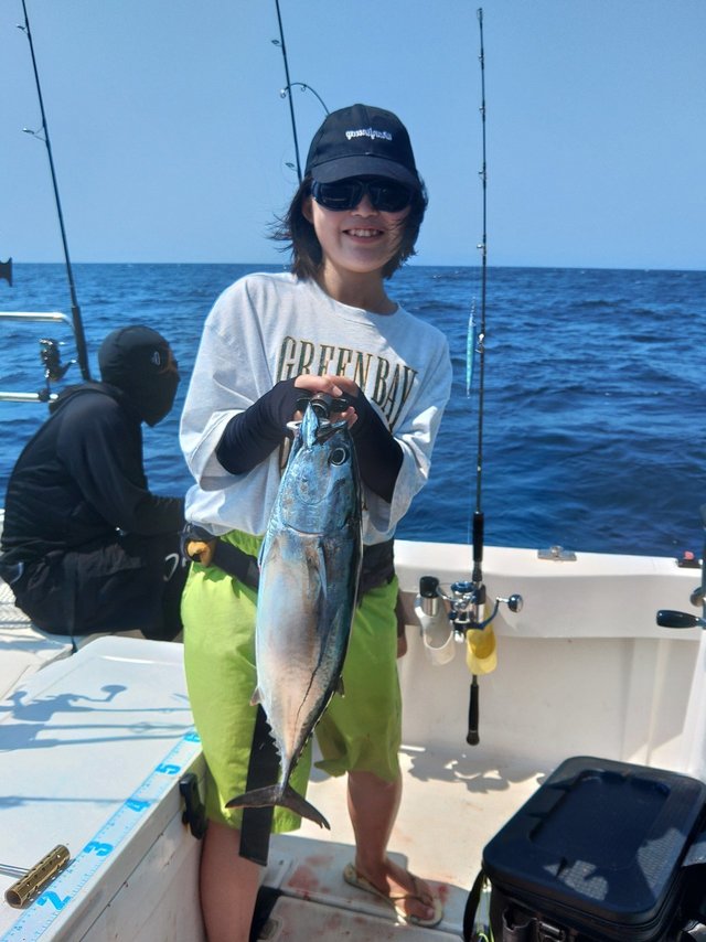 スマガツオ(スマ)