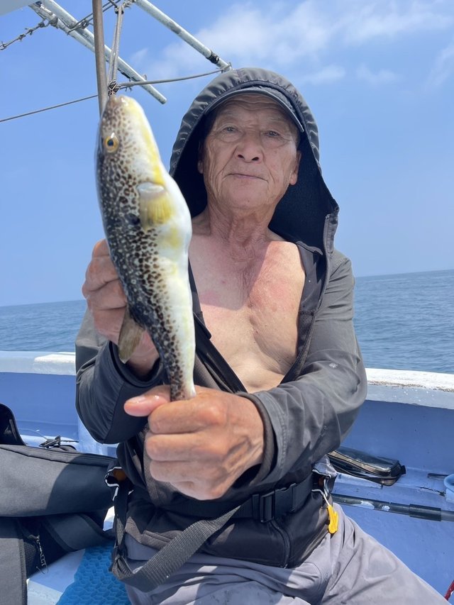 ショウサイフグ