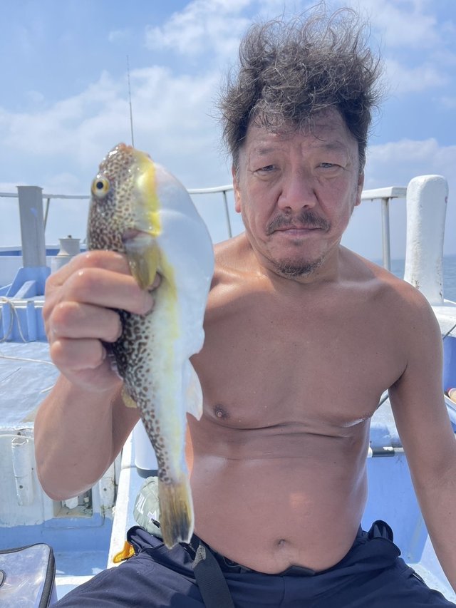 ショウサイフグ