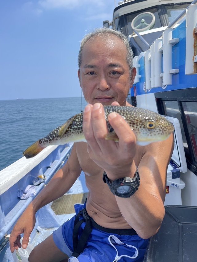 ショウサイフグ