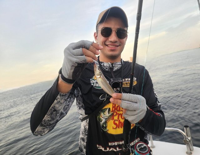 キス(シロギス)