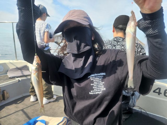 キス(シロギス)