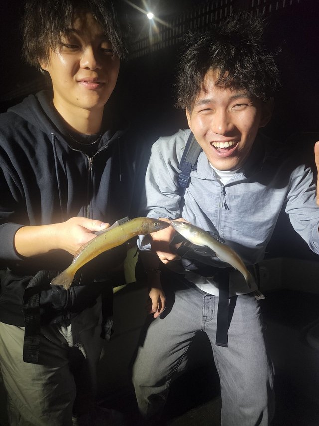 キス(シロギス)