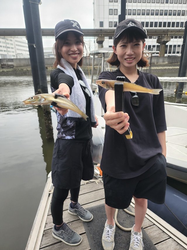 キス(シロギス)