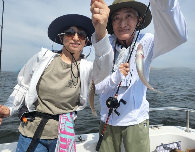 キス(シロギス)