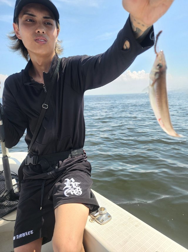 キス(シロギス)