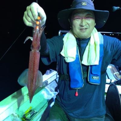 マイカ(ケンサキイカ)