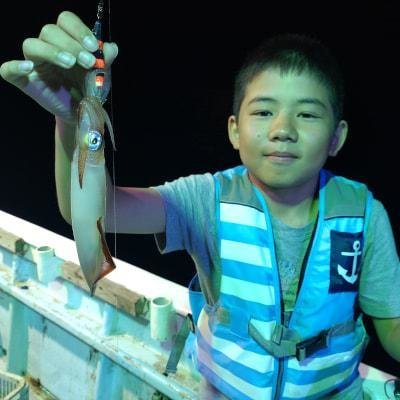 マイカ(ケンサキイカ)