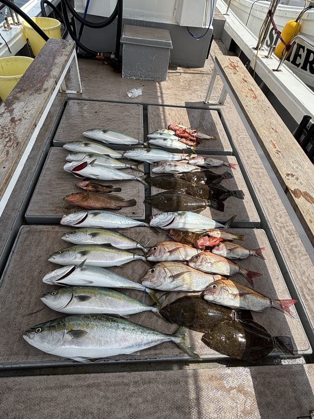 マダイ・アコウ(キジハタ)・ハマチ(ブリ)・サワラ・ヒラメ