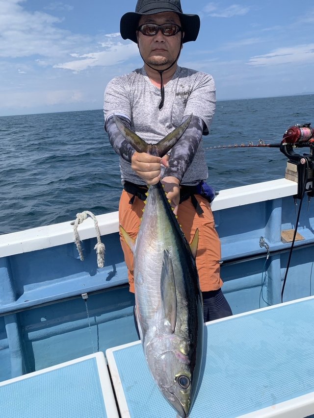 キハダマグロ(キハダ)