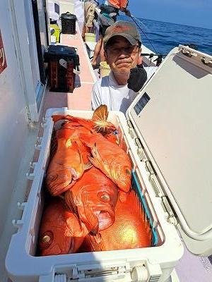 キントキ(チカメキントキ)