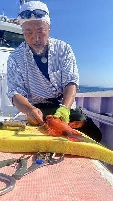 キントキ(チカメキントキ)