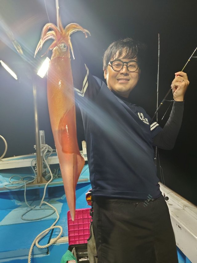 シロイカ(ケンサキイカ)