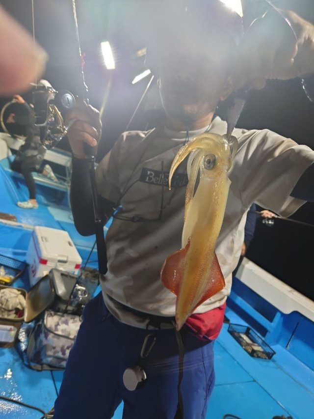 シロイカ(ケンサキイカ)