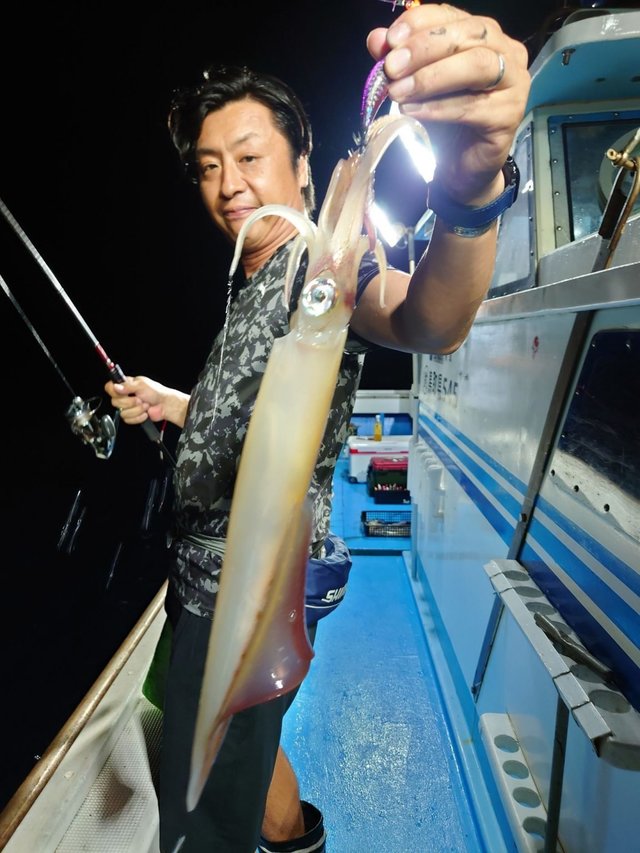 シロイカ(ケンサキイカ)